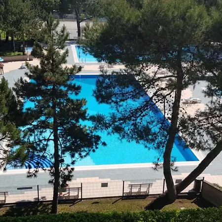 Vacation By The Pool In Our Cozy Flat *